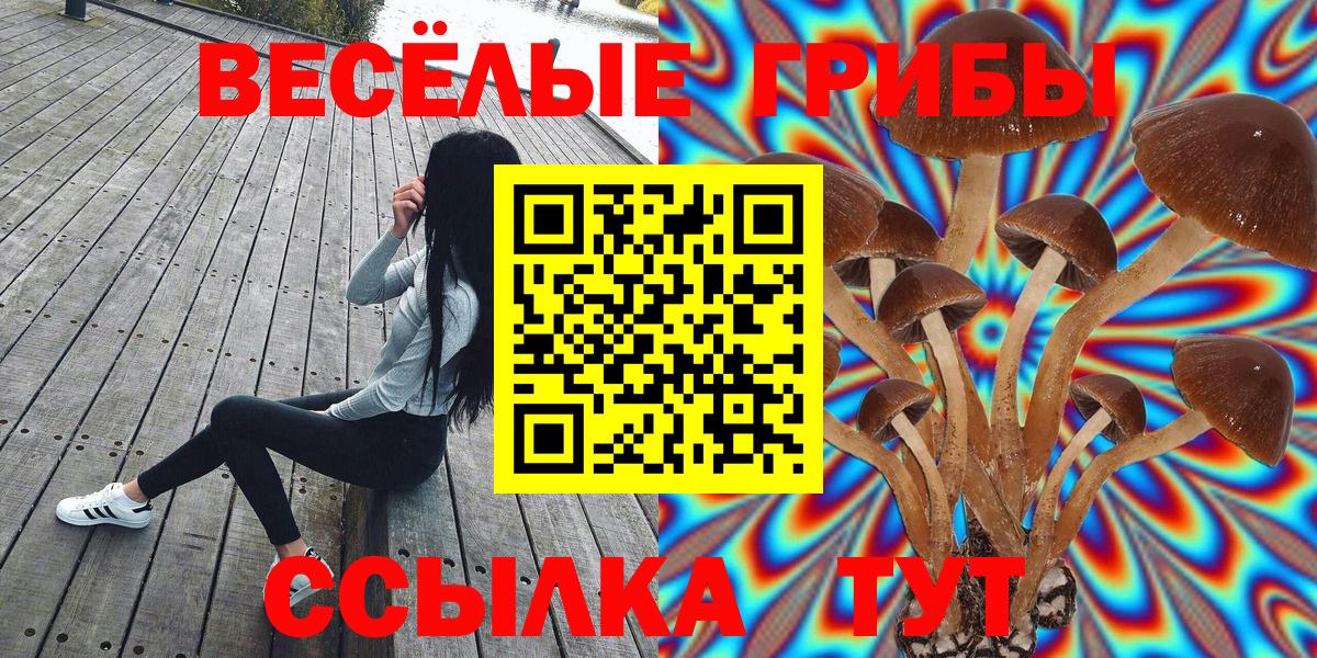 Сургут  Псилоцибиновые грибы мухоморы  Вход с VPN 