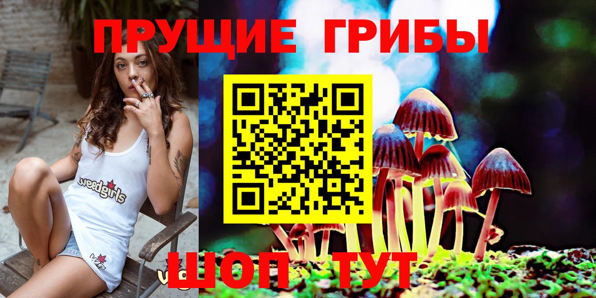 Галлюциногенные грибы MAGIC MUSHROOMS Сургут